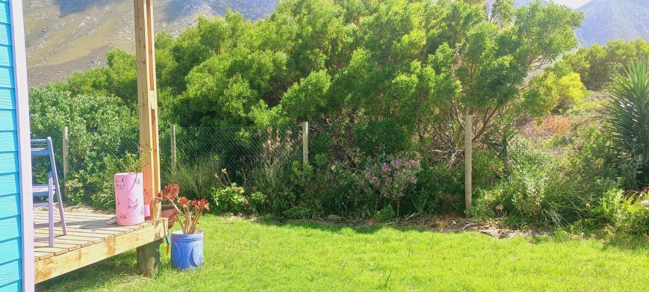 Cat Nap Cottage Bettyʼs Bay Dış mekan fotoğraf