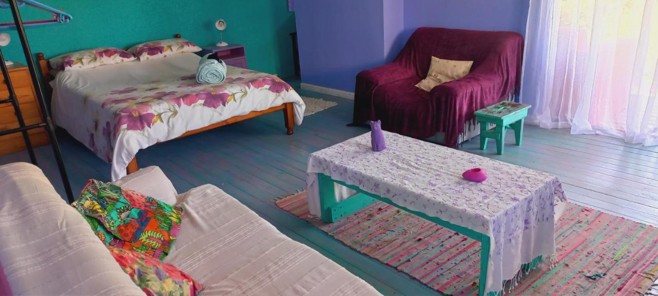 Cat Nap Cottage Bettyʼs Bay Dış mekan fotoğraf
