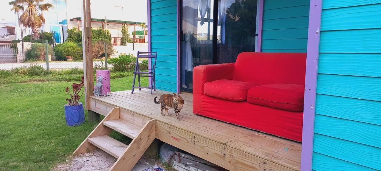 Cat Nap Cottage Bettyʼs Bay Dış mekan fotoğraf