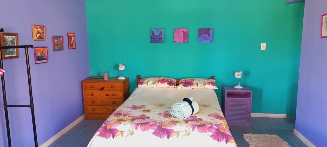 Cat Nap Cottage Bettyʼs Bay Dış mekan fotoğraf