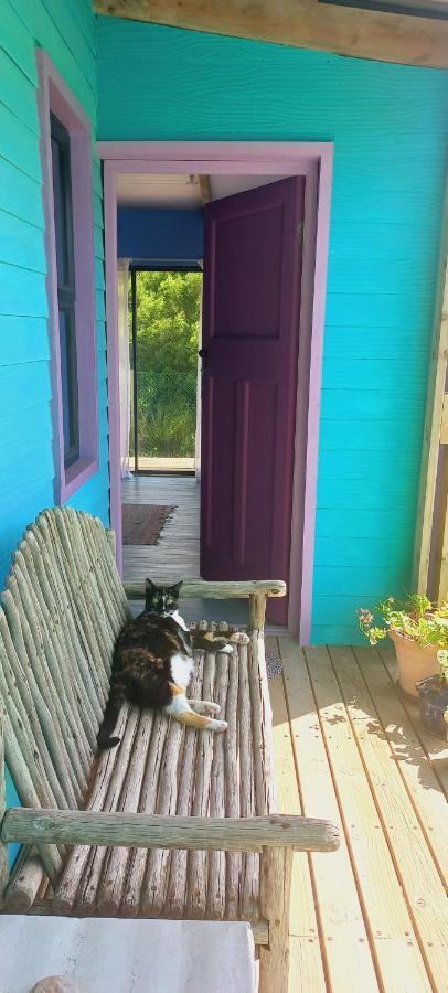 Cat Nap Cottage Bettyʼs Bay Dış mekan fotoğraf
