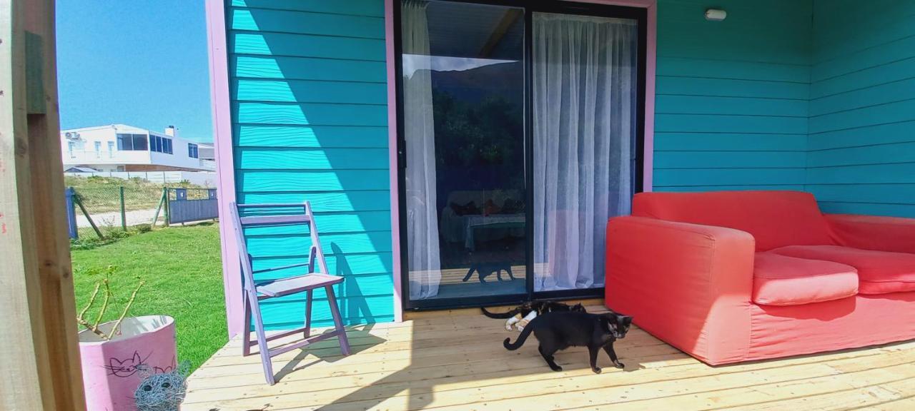 Cat Nap Cottage Bettyʼs Bay Dış mekan fotoğraf