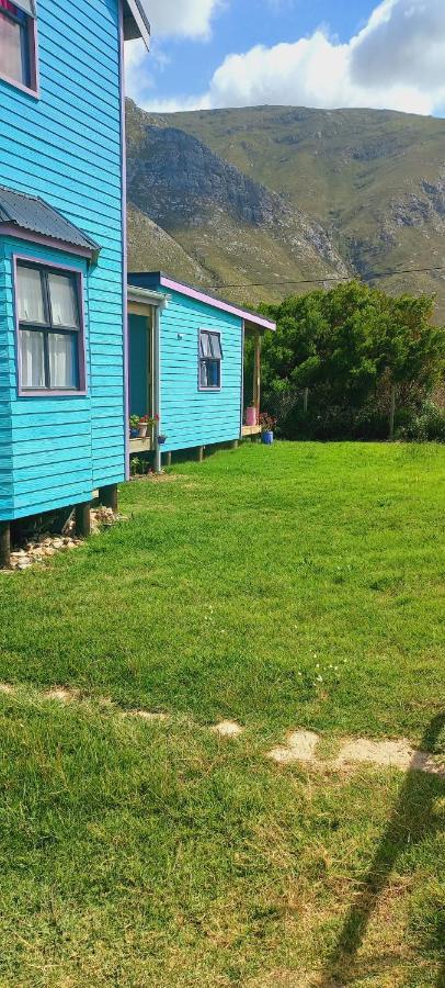 Cat Nap Cottage Bettyʼs Bay Dış mekan fotoğraf