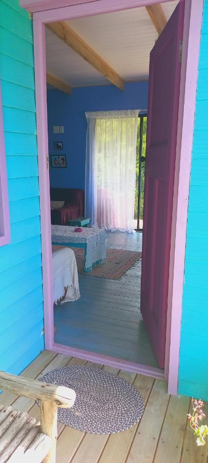 Cat Nap Cottage Bettyʼs Bay Dış mekan fotoğraf