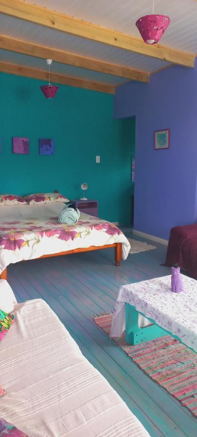 Cat Nap Cottage Bettyʼs Bay Dış mekan fotoğraf